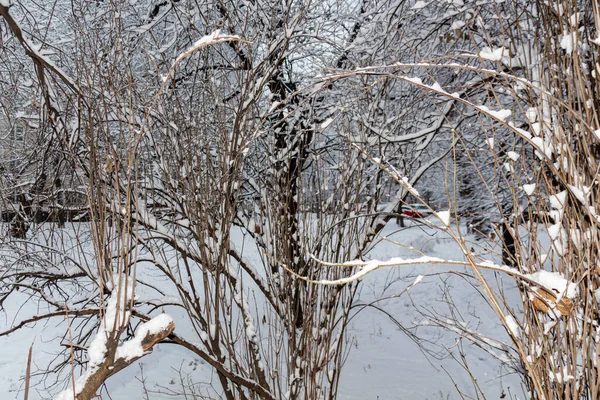 Winter Fairy Tale Snow Covered Winter Park Winter Time Nature — Stock Photo, Image