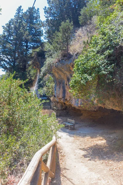 Wald Bei Mily Dorf Rethymno Kreta Griechenland — Stockfoto