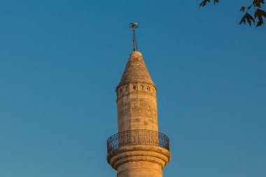 Rethymno, Yunanistan - 28 Temmuz 2016: Paleontoloji Müzesi, benim için