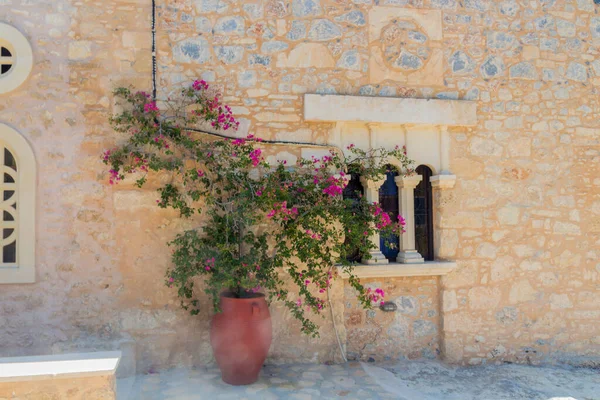 Blommande Bougainvillea Blommor Agia Irini Kloster Kreta Grekland Bougainvillea Ett — Stockfoto