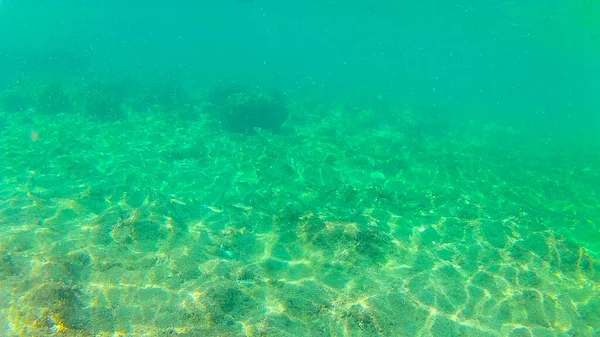 Mar Mediterrâneo Mar Creta Subaquático Fotografias Tiradas Rethymno Creta Grécia — Fotografia de Stock