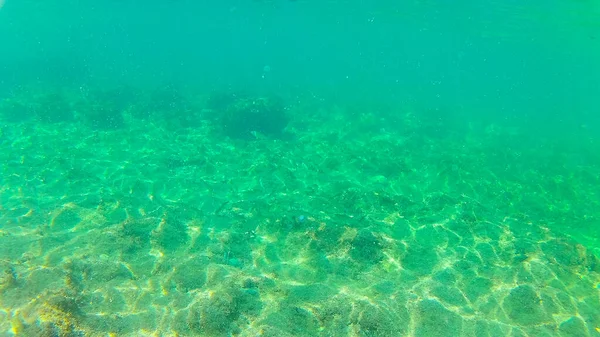 Mediterranean Sea Sea Crete Underwater Photo Taken Rethymno Crete Greece — Stock Photo, Image