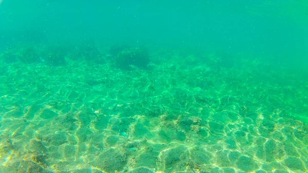 Morze Śródziemne Morze Krety Pod Wodą Zdjęcie Zrobione Rethymno Kreta — Zdjęcie stockowe