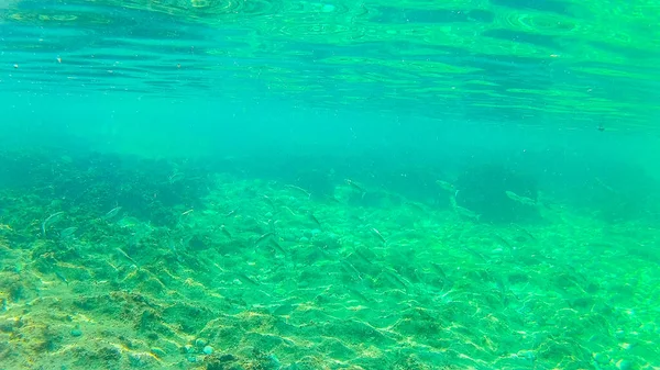 Mare Mediterraneo Mare Creta Subacqueo Foto Scattata Rethymno Creta Grecia — Foto Stock