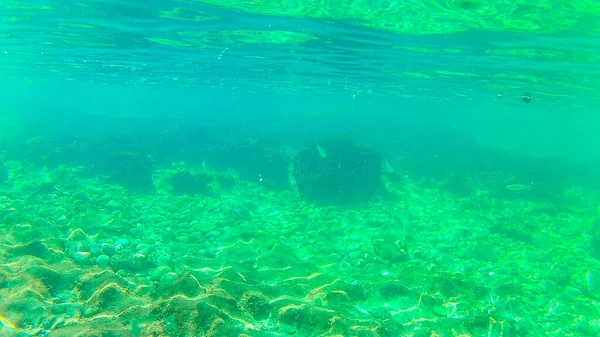 Mar Mediterrâneo Mar Creta Subaquático Fotografias Tiradas Rethymno Creta Grécia — Fotografia de Stock