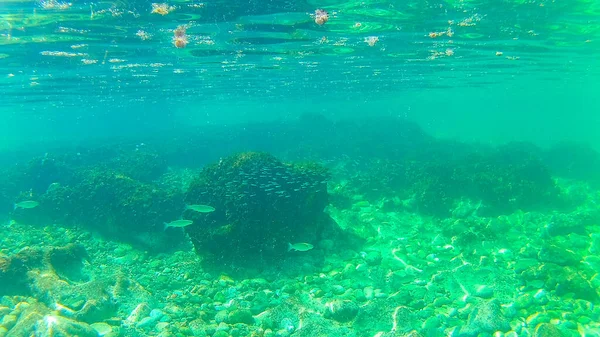 Mar Mediterrâneo Mar Creta Subaquático Fotografias Tiradas Rethymno Creta Grécia — Fotografia de Stock