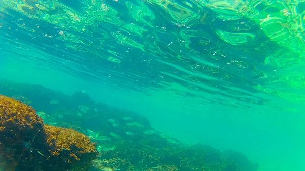 Середземне Море Критове Море Під Водою Photo Taken Rethymno Crete — стокове фото