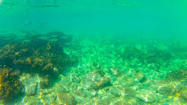 Akdeniz Girit Denizi Altında Fotoğraf Rethymno Girit Yunanistan — Stok fotoğraf