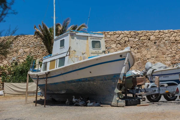 Rethymno Grecia Luglio 2016 Animali Nell Antico Porto Veneziano Città — Foto Stock