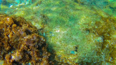 Akdeniz (Girit Denizi) su altında.