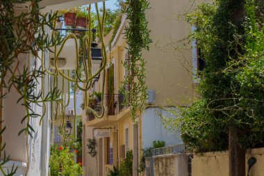 Rethymno, Yunanistan - 2 Ağustos 2016: Eski kentin balkonunda büyük kaktüsler. Eski Rethymnon kasabası Rönesans 'ın en iyi korunmuş kasabalarından biridir..