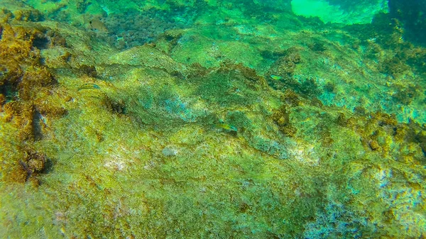 Mer Méditerranée Mer Crète Sous Marine — Photo