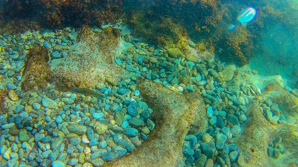 Mittelmeer Kretisches Meer Unter Wasser — Stockfoto