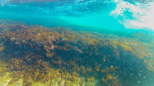 Mar Mediterrâneo Mar Creta Subaquático — Fotografia de Stock