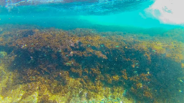 Mittelmeer Kretisches Meer Unter Wasser — Stockfoto