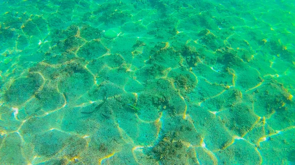 Mer Méditerranée Mer Crète Sous Marine — Photo