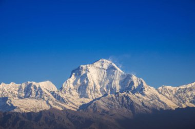 Poon Hill, Nepal 'den Dhaulagiri dağ sırasına mavi gökyüzü ile yakın.