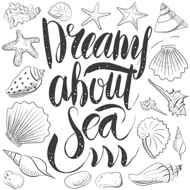 Kabuk, deniz yıldızı, sakin, taş ile deniz yazı hakkında rüyalar. Vektör tasarımı deniz beach tarzı için ayarla. Çizgi, dağılım egzotik kabukları