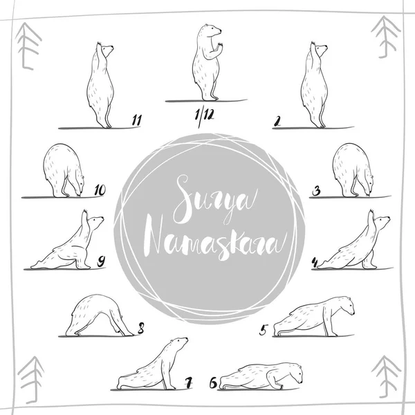 komik yoga kutup ayısı, fitness beyaz ayılar, yoga pozlar, Surya Namaskara meditasyon ile. Ashtanga kursuna katıldıktan sonra vinyasa yoga poses