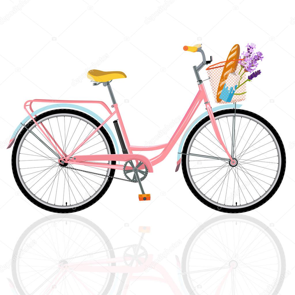 Detailed bicycle, romantic bike with flowers, bike for breakfast
