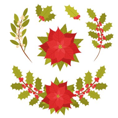 Poinsettia çiçek beyaz arka plan izole. Noel yıldızı clipart öğesi. Holly dalları, Noel çelengi