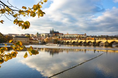 Prag Charles Bridge Vltava ve altın sonbahar renkleri karmaşık Hradcany kale ile. Seyahat, tatil, gezi konsepti ile negatif ve kopya alanı. 