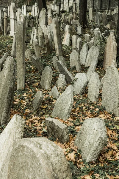 Opuszczony Cmentarz Żydowski Koncepcja Zwiedzanie Historycznego Halloween — Zdjęcie stockowe