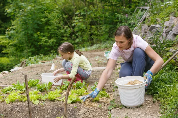 母と娘一緒に家庭菜園で作業します 充実した時間 母娘関係 自家製の有機食品コンセプト — ストック写真