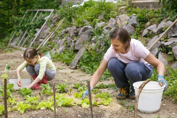 Mutter und Tochter arbeiten im Gemüsegarten — Stockfoto