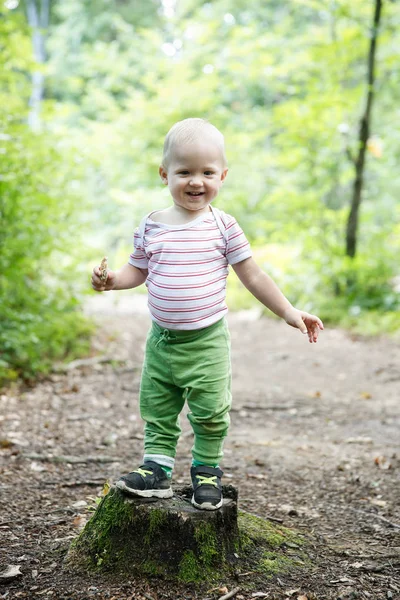 Хлопчик стоїть на пні, пишається своїм досягненням навчитися ходити в лісі . — стокове фото