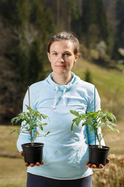 Mujer jardinero sosteniendo sus plántulas de tomate preparado para ser plantado en su jardín . — Foto de Stock