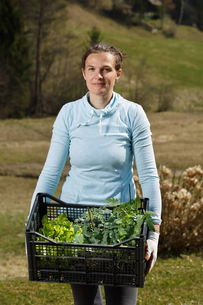 Жінка садівник, що показує колекцію розсади, готова до посадки на сад . — стокове фото