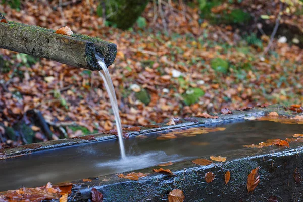 Source montagneuse d'eau pure, claire et douce avec abreuvoir dans la forêt . — Photo