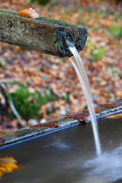 Fonte montanhosa de água pura, límpida e fresca com cocho de água na floresta . — Fotografia de Stock