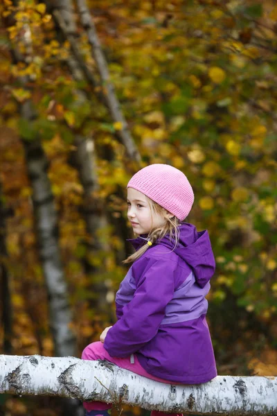 Menina na floresta, sentado em um registro de vidoeiro — Fotografia de Stock