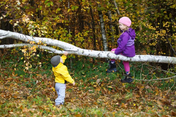 Hermano y hermana jugando en el bosque — Foto de Stock