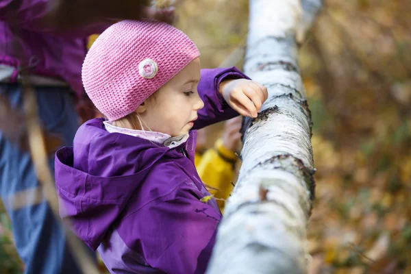 Chica jugando en el bosque, observando el tronco de abedul — Foto de Stock