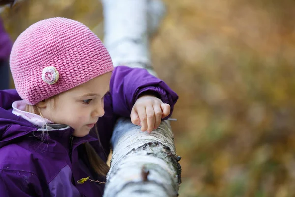 Ormanda oynayan, huş ağacı kütüğüne gözlemleyen ve kabuğu toplayan kız — Stok fotoğraf