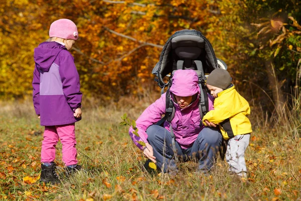 Mother with children searching for wild herbs — Stock Photo, Image