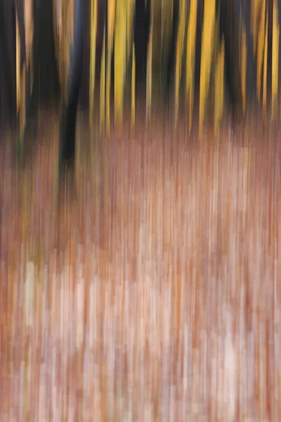 Verschwommene Herbstfarben im Wald. — Stockfoto