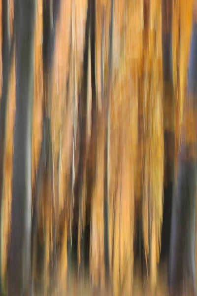 Pastel of blurry autumn colours in the woods. — Stock Photo, Image