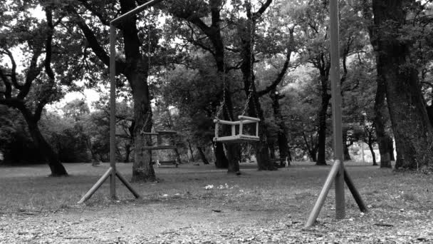 Swinging Empty Swings Park Black White — Stock Video