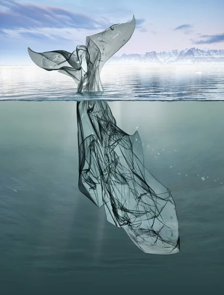 bir balina okyanusta yüzen çöp plastik