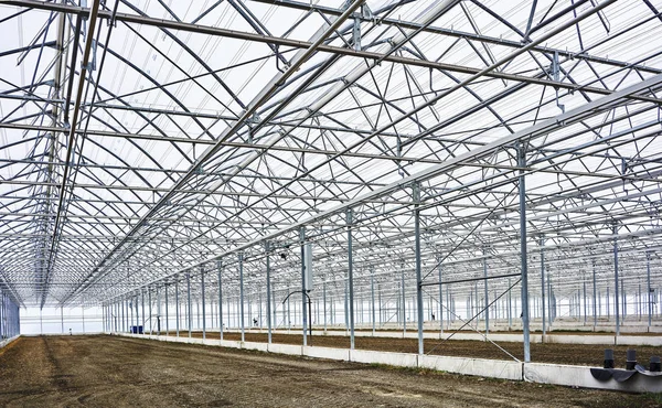 Big Empty Greenhouse Waiting Pants — Stock Photo, Image