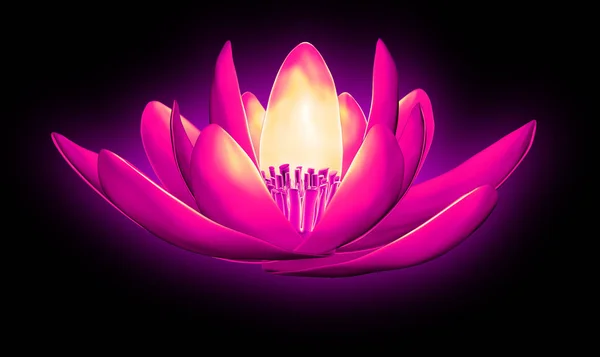 Image radiographique d'une fleur isolée sur noir, le lotus 3d illustr — Photo