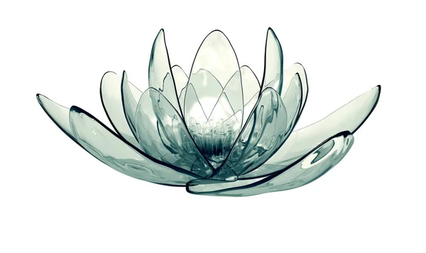 Imagem de raios-x de uma flor isolada em branco, o lotus 3d illustr — Fotografia de Stock