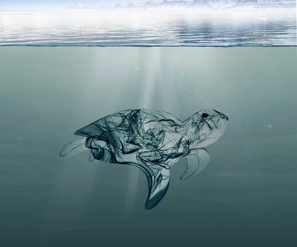 Plastic turtle, pollution that floats in the ocean