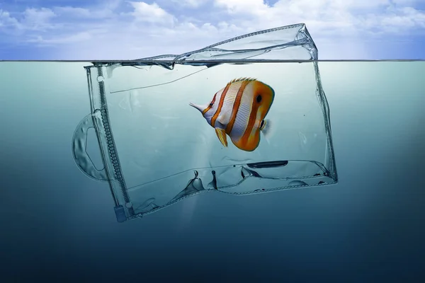 魚付きビニール袋、海に浮かぶ汚染 — ストック写真