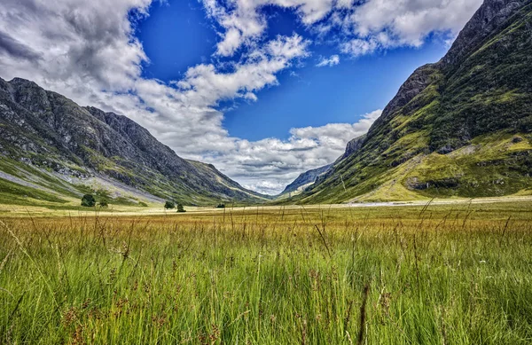 Verano en las tierras altas de Escocia. — Foto de Stock