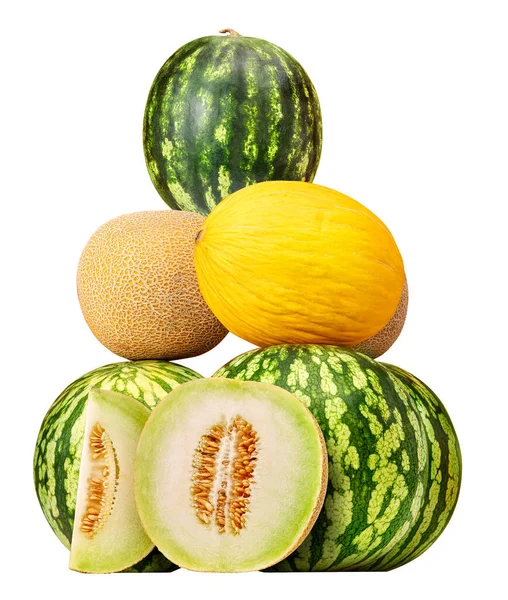 Wassermelonen Cantaloupes Und Süße Honigmelonen — Stockfoto